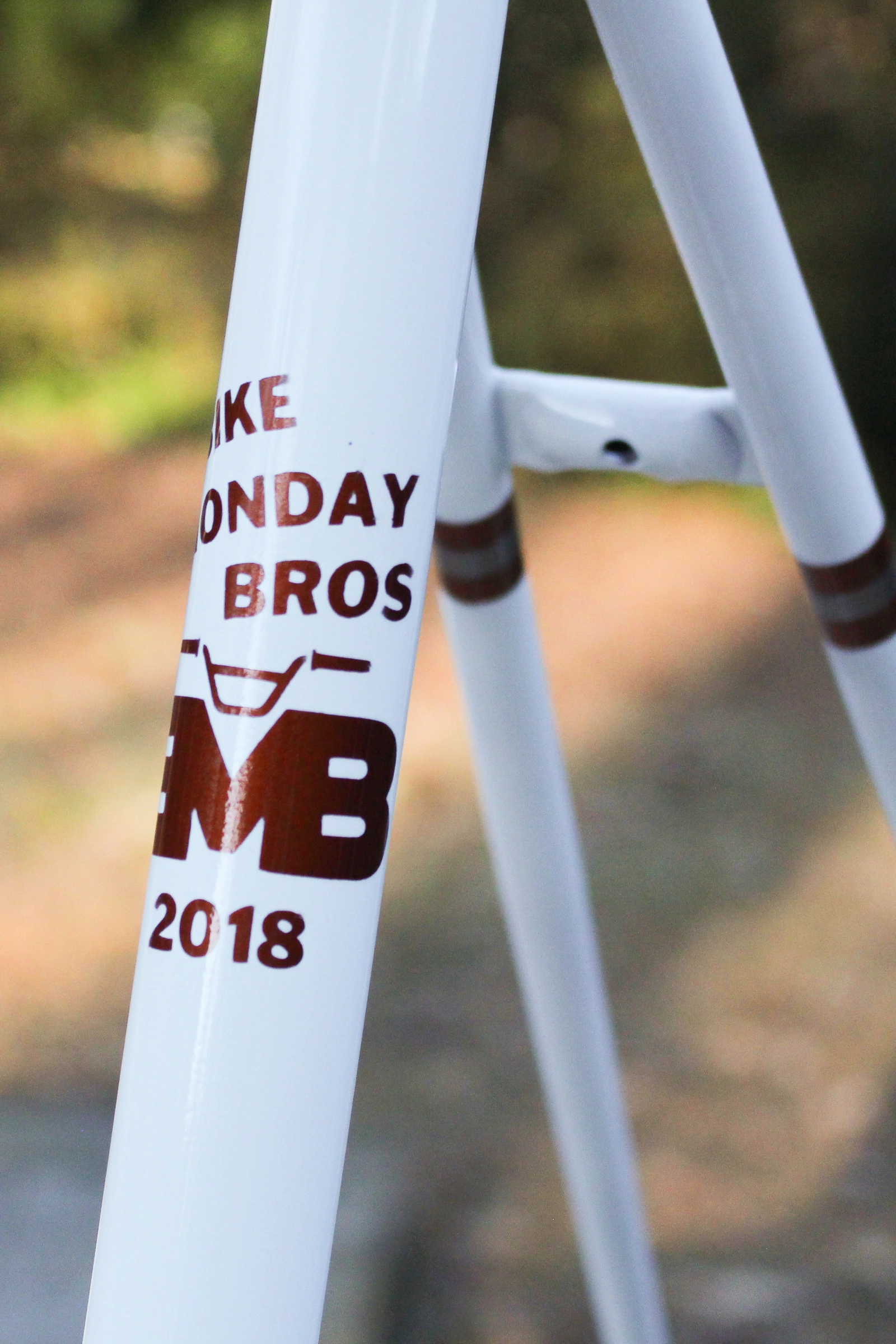 BMB Schwinn 6