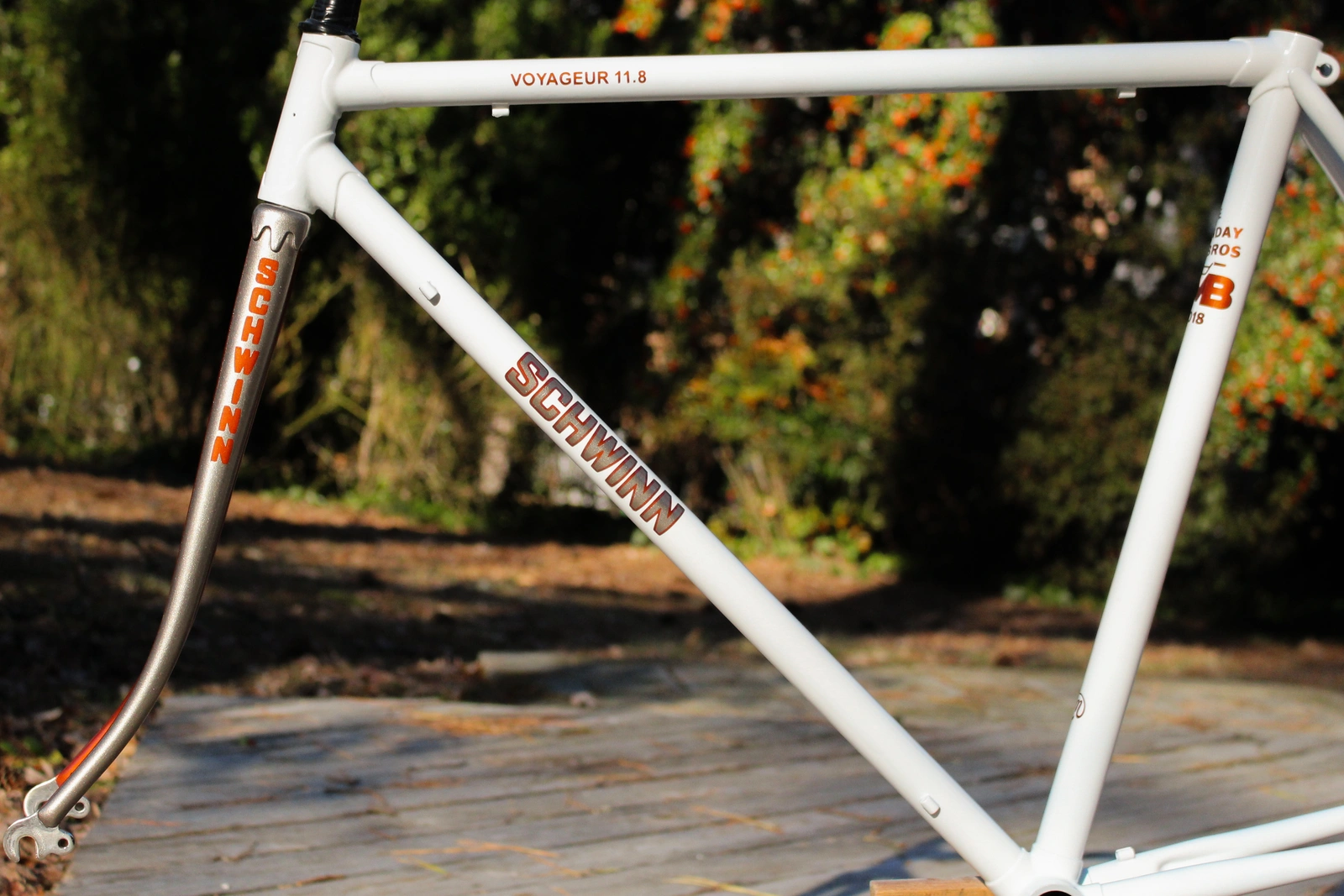 BMB Schwinn 2