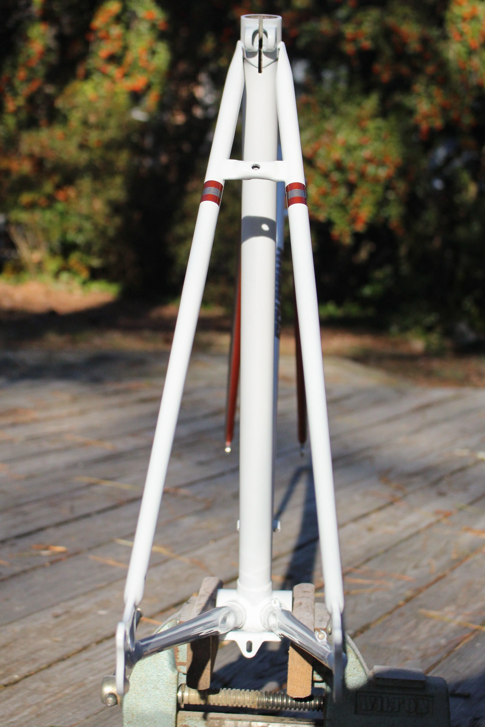 BMB Schwinn 9