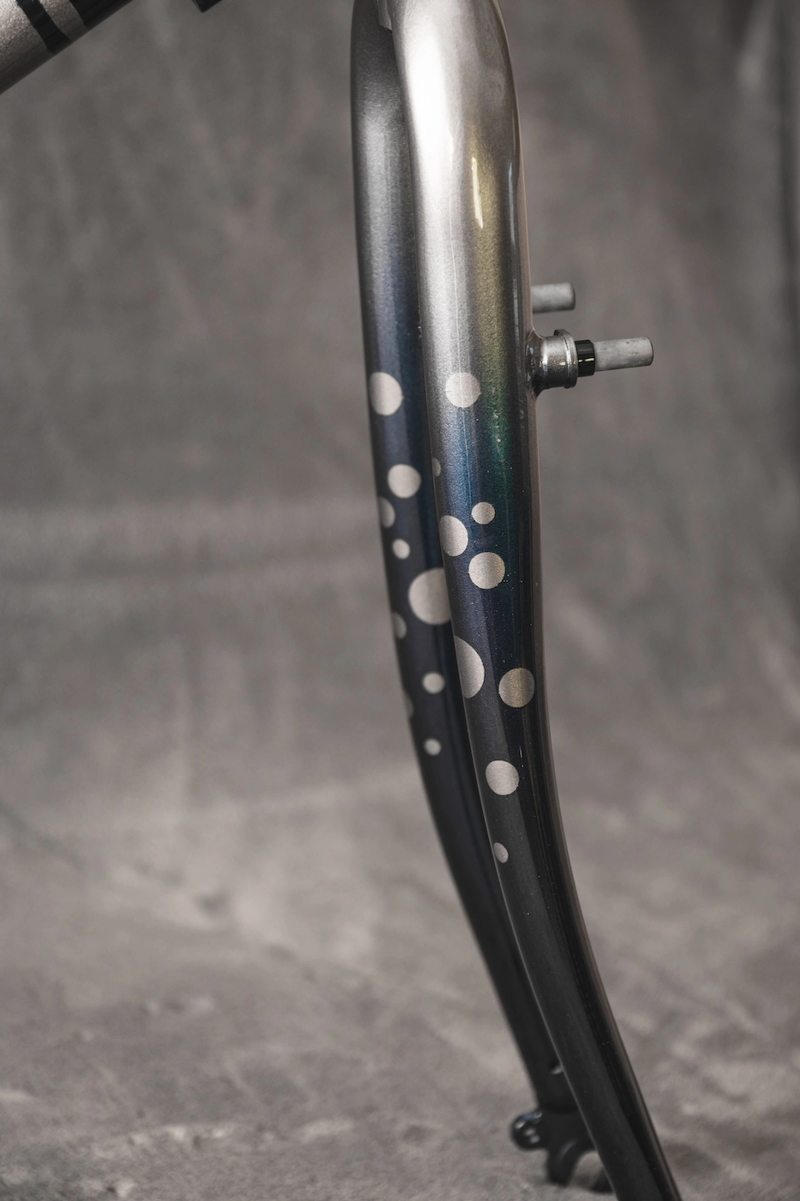 Fuji 4